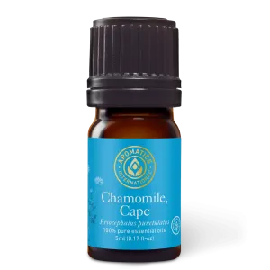 Chamomile Cape Essential Oil