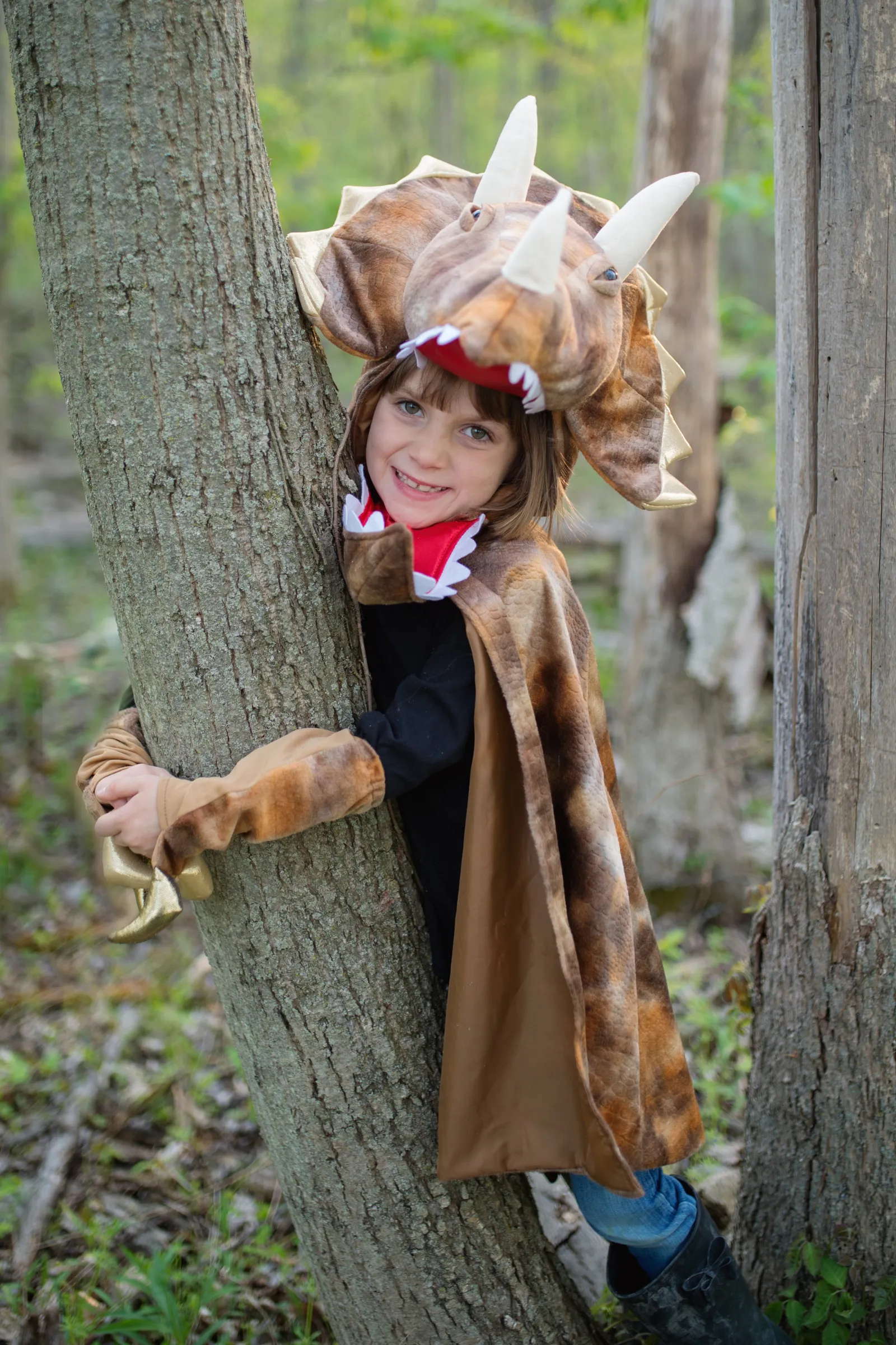 Grandasaurus Triceratops Cape with Claws